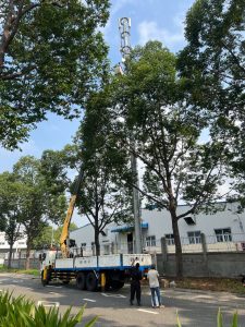 Xe Tải Cầu Bình Dương (13)